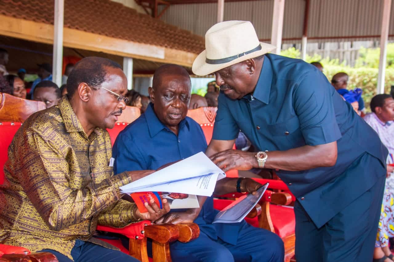 Kalonzo Eyes Taking over Raila’s Luo Nyanza Votes 