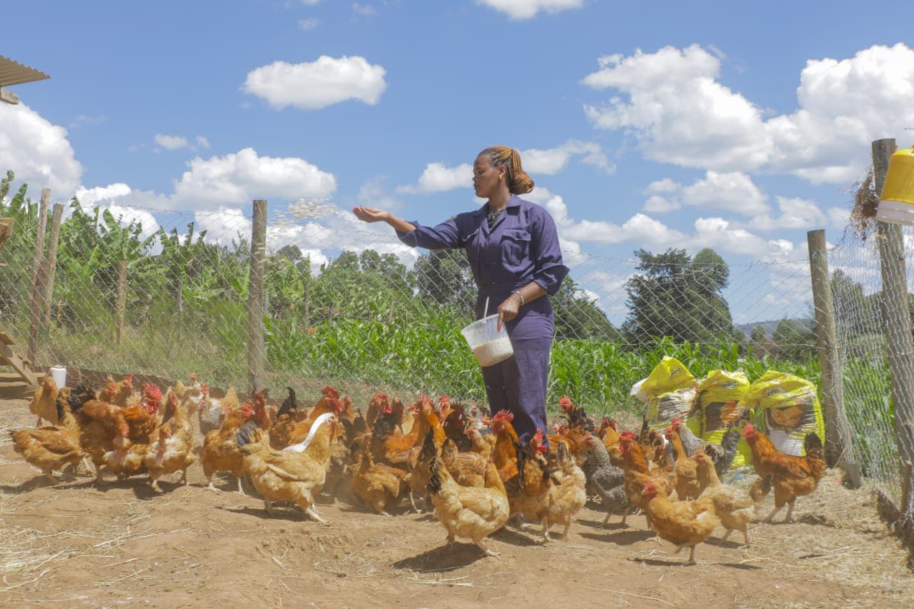 How Buying Data on M-pesa Opened New Doors for Chicken Seller