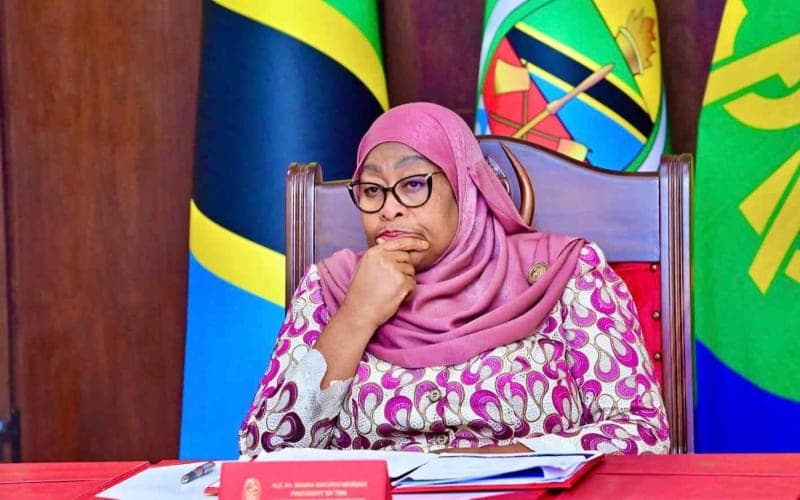 Tanzania’s Internet Blackout and Ongoing X Suspension Cost Over US $238 Million, Paradigm Initiative Warns